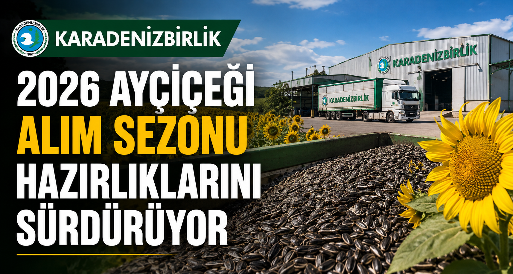 KARADENİZBİRLİK, 2026 ayçiçeği alım sezonu hazırlıklarını sürdürüyor