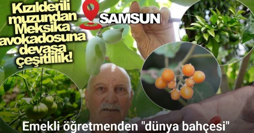 Üç kıta ve 50 ülkeden topladığı tohumlarla ’dünya bahçesi’ kurdu