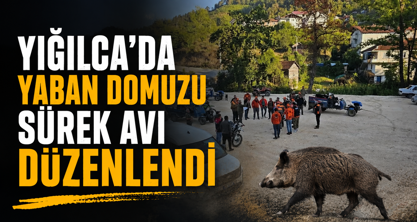 Yığılca’da yaban domuzu sürek avı düzenlendi