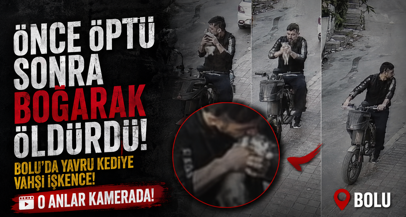 Yavru kediyi önce öptü, sonra boğdu