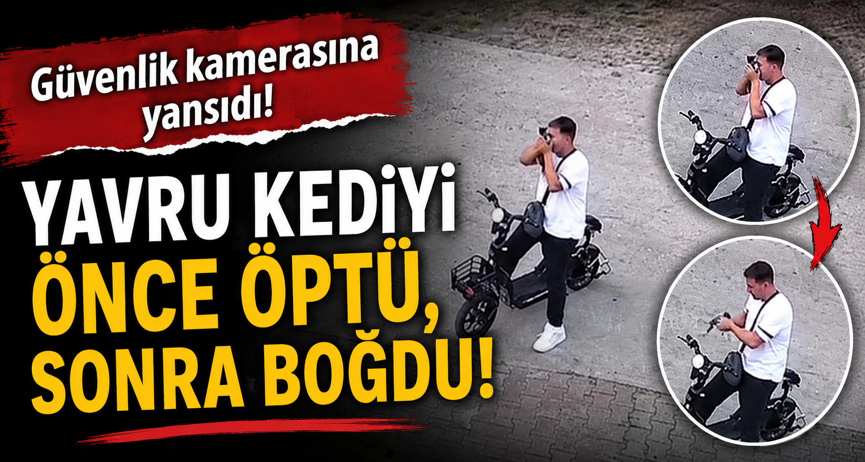 Yavru kediyi önce öptü, sonra boğdu