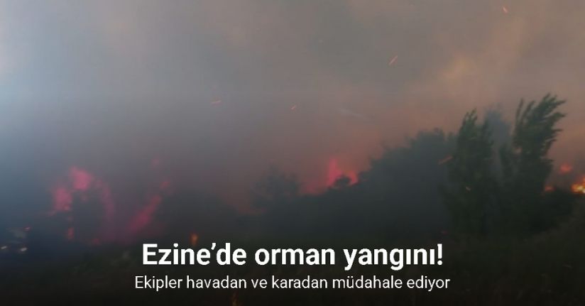 Ezine’de orman yangını