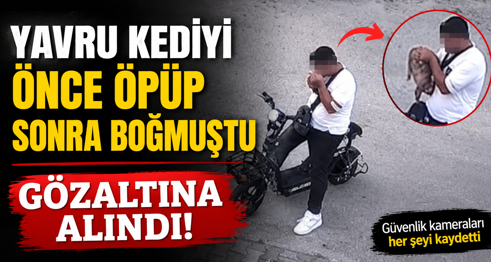 Yavru kediyi önce öpüp sonra boğmuştu, gözaltına alındı