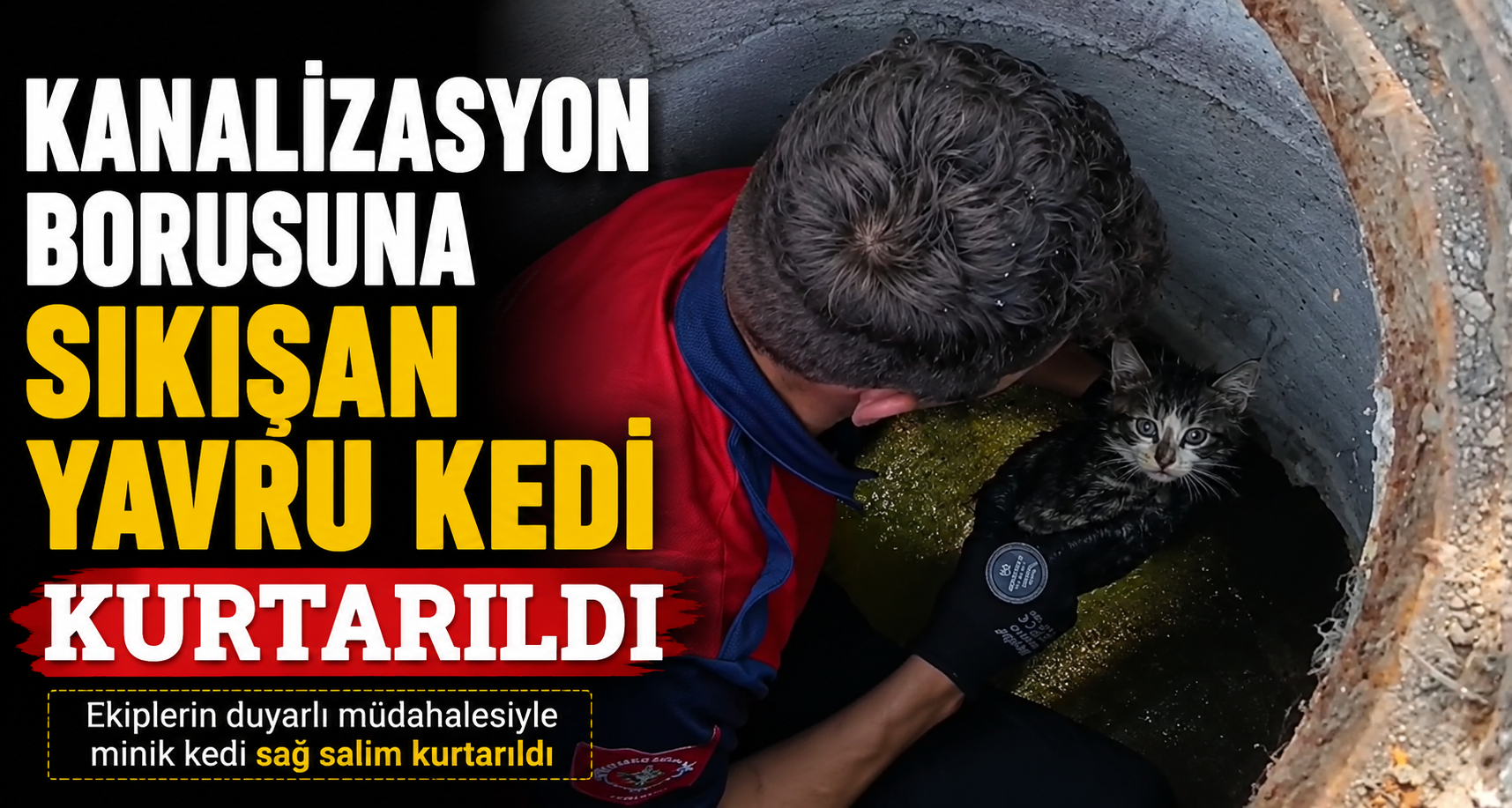 Kanalizasyon borusuna sıkışan yavru kedi kurtarıldı
