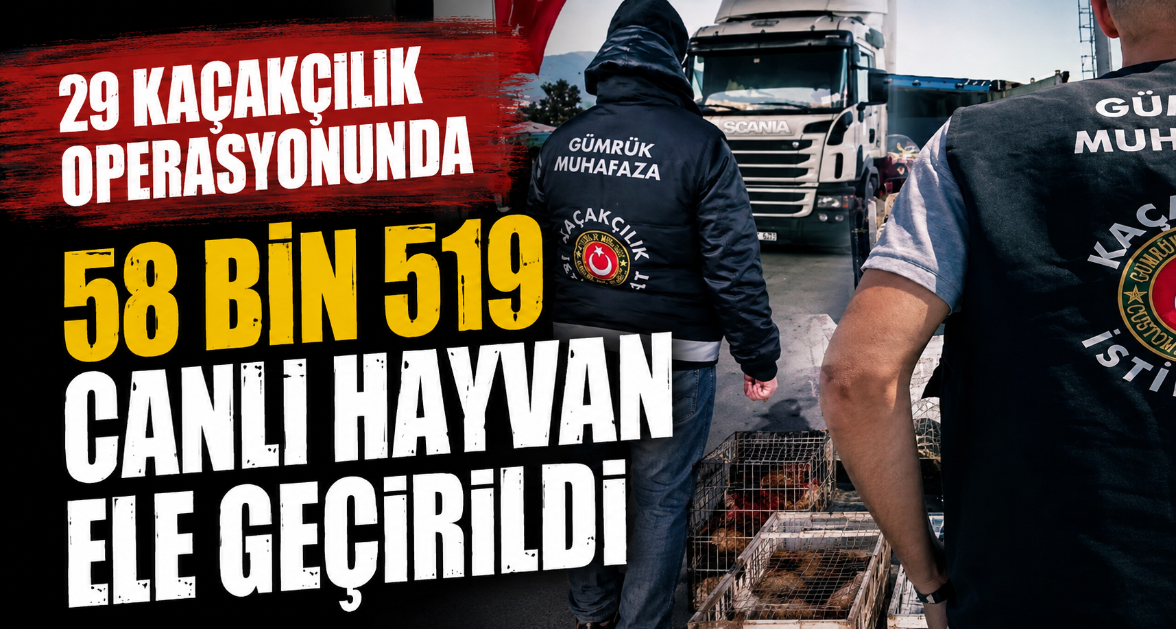 29 kaçakçılık operasyonunda 58 bin 519 canlı hayvan ele geçirildi