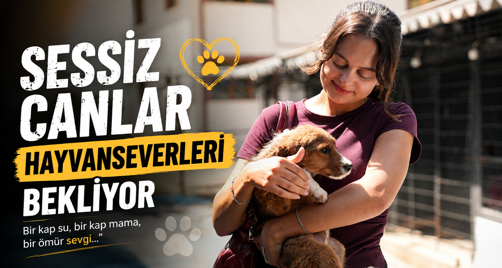 Sessiz Canlar Hayvanseverleri Bekliyor