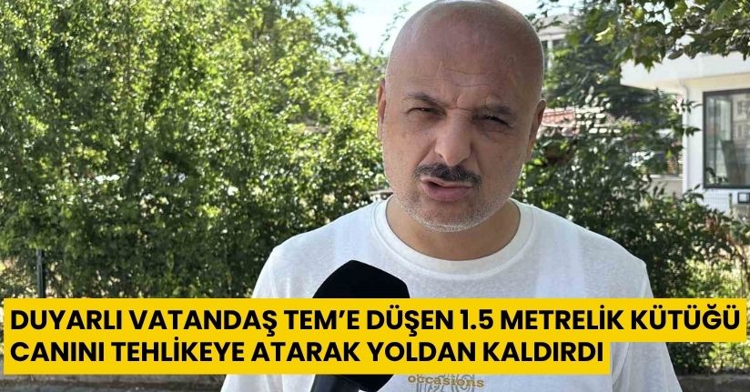 Duyarlı vatandaş TEM’e düşen 1.5 metrelik kütüğü canını tehlikeye atarak yoldan kaldırdı