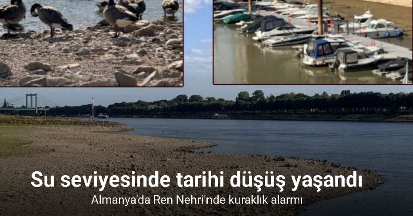 Almanya'da Ren Nehri'nde kuraklık alarmı: Su seviyesinde tarihi düşüş yaşandı