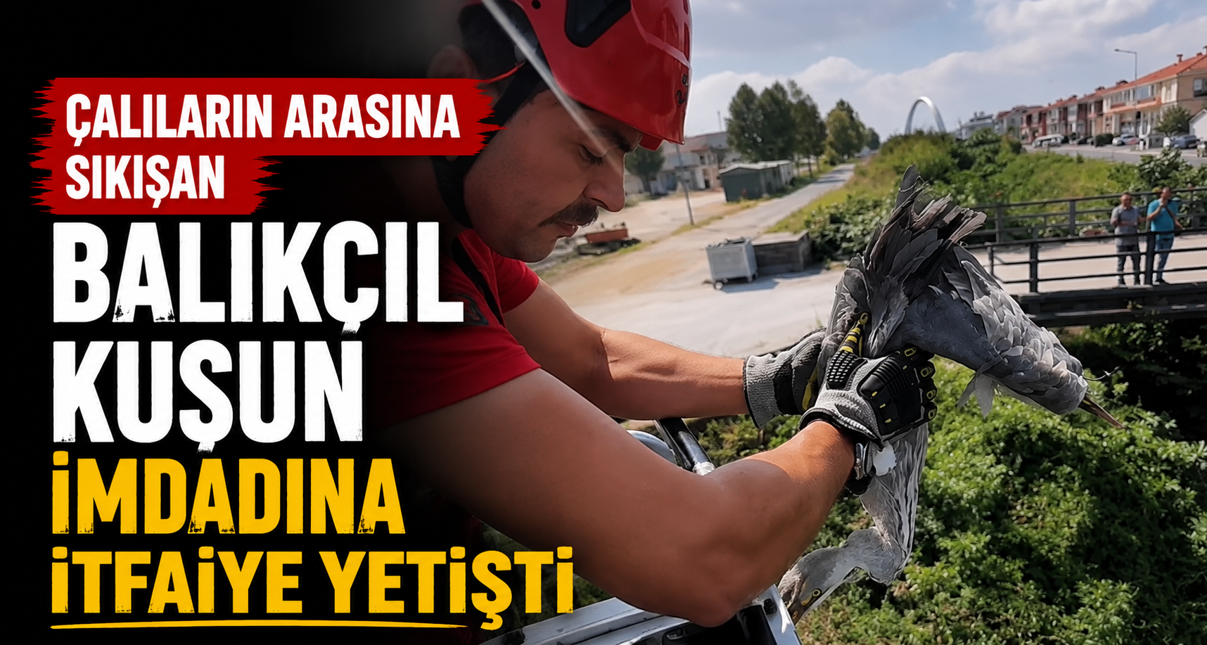 Çalıların arasına sıkışan balıkçıl kuşun imdadına itfaiye yetişti