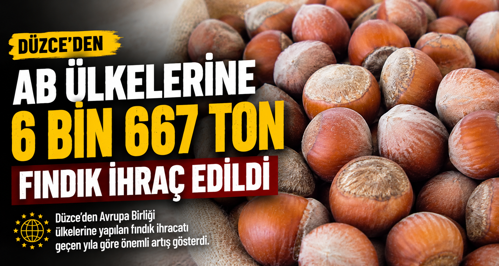 Düzce'den AB ülkelerine 6 bin 667 ton fındık ihraç edildi