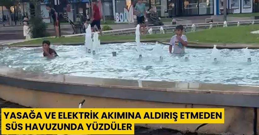 Yasağa ve elektrik akımına aldırış etmeden süs havuzunda yüzdüler