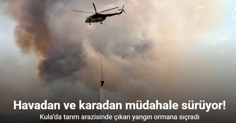 Kula’da tarım arazisinde çıkan yangın ormana sıçradı