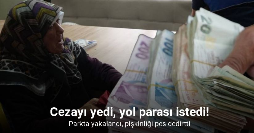 Parkta dilenen yaşlı kadının üzerinden deste deste para çıktı