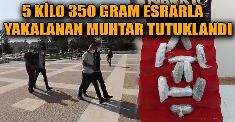 Bolu’da 5 kilo 350 gram esrarla yakalanan mahalle muhtarı tutuklandı