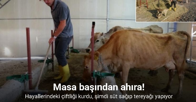 16 yıldır dijital pazarlamacıydı, şimdi süt sağıp tereyağı yapıyor