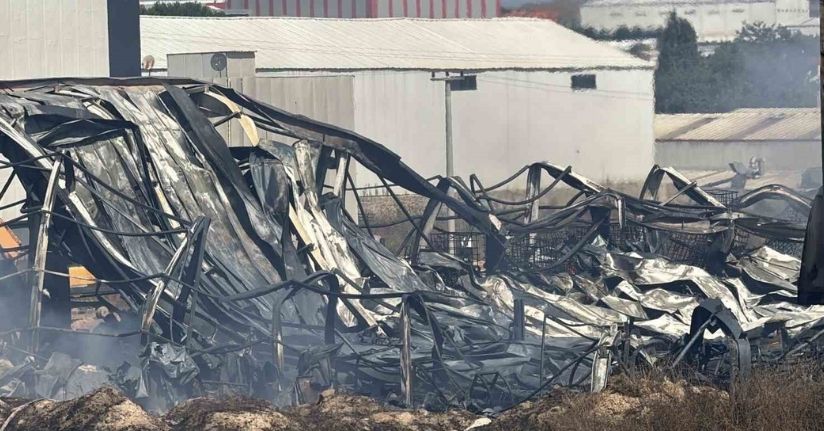 Kocaeli’de kimya fabrikasında yangın: 2 işçi yaralandı, 2 at telef oldu