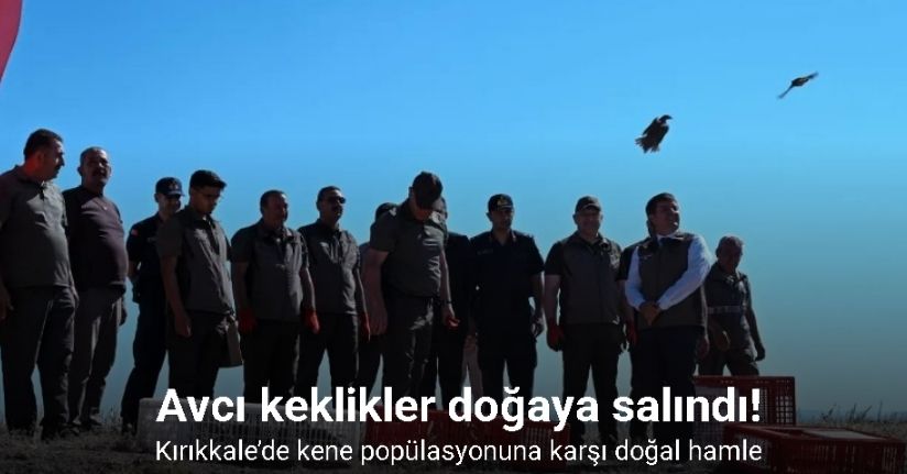 Kene popülasyonuna karşı doğal hamle: Avcı keklikler doğaya salındı