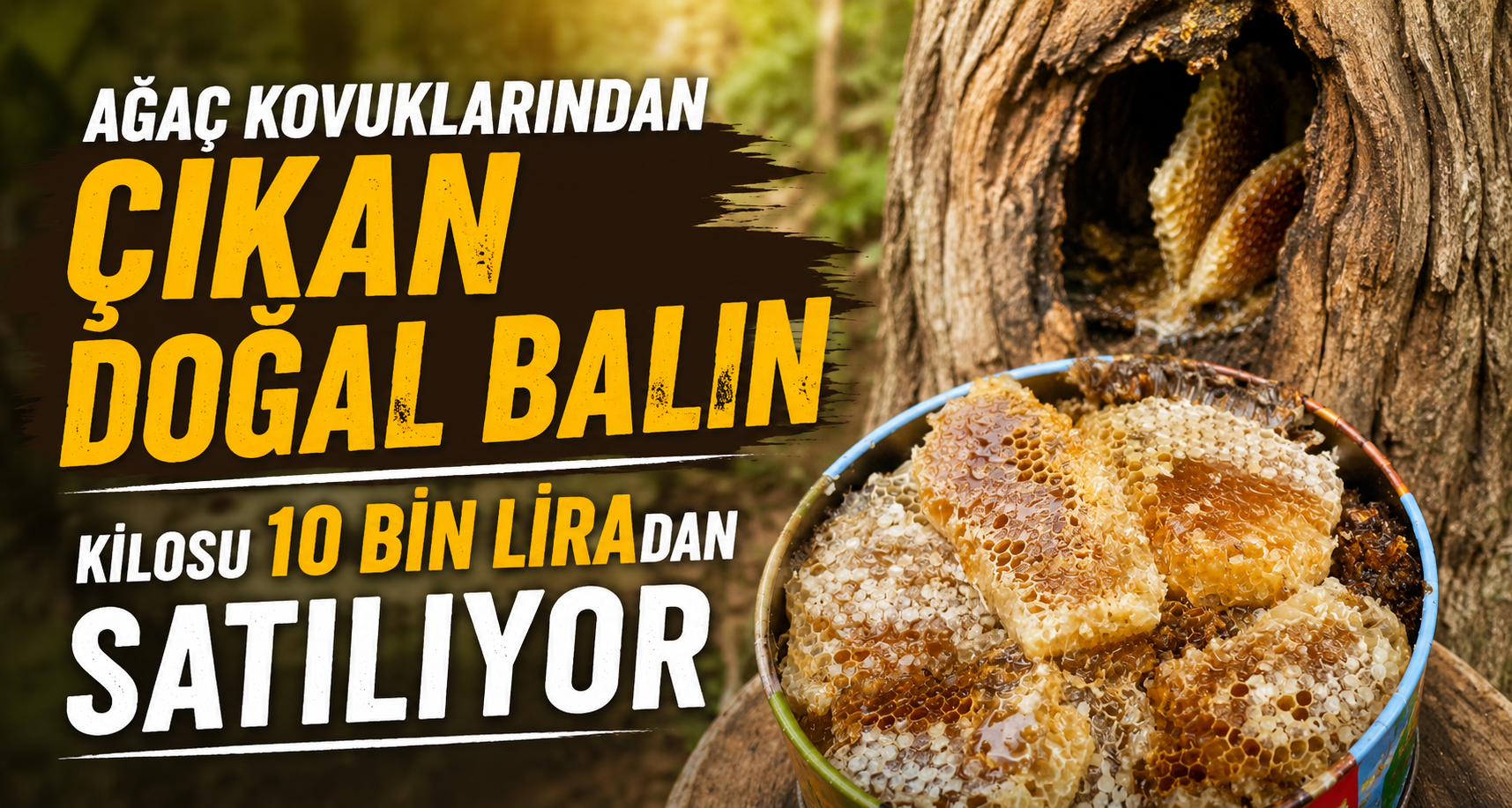 Ağaç kovuklarından çıkan doğal balın kilosu 10 bin liradan satılıyor