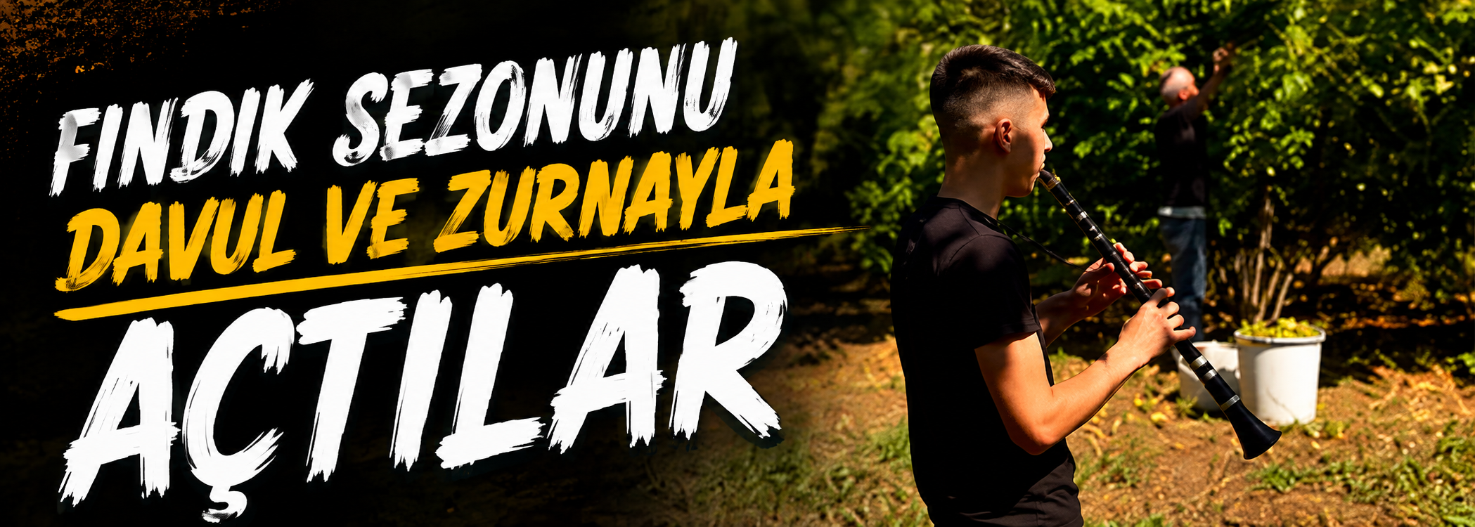 Fındık sezonunu davul ve zurnayla açtılar