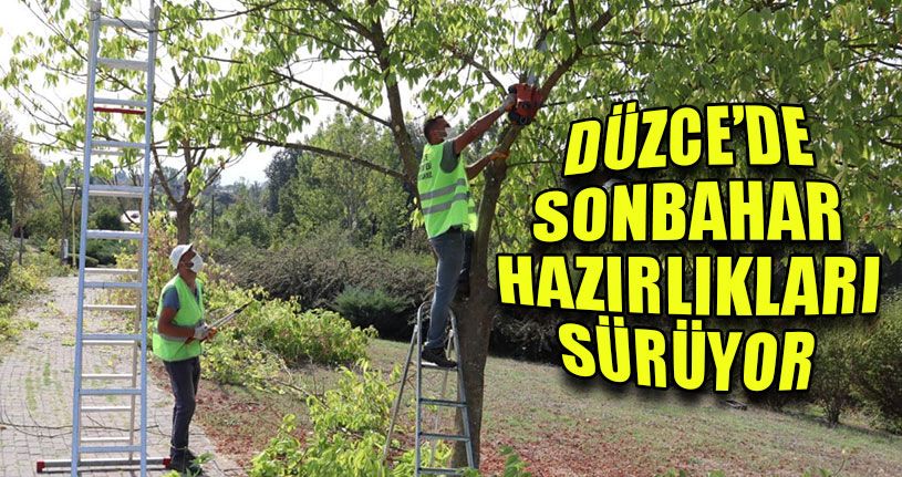 Düzce’de Sonbahar Hazırlıkları Sürüyor