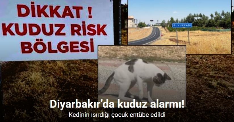 Diyarbakır’da kedinin ısırdığı çocuk entübe edildi, testlerde kuduz çıktı