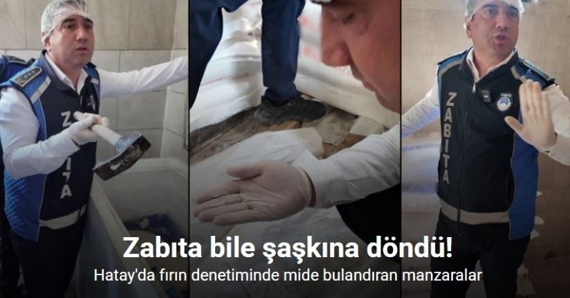 Fare dışkısından ve böcekten geçilmeyen fırındaki dondurucudan paslı keser çıktı