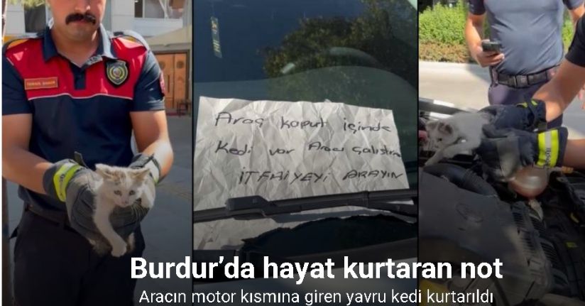 Burdur’da hayat kurtaran not: Aracın motor kısmına giren yavru kedi kurtarıldı