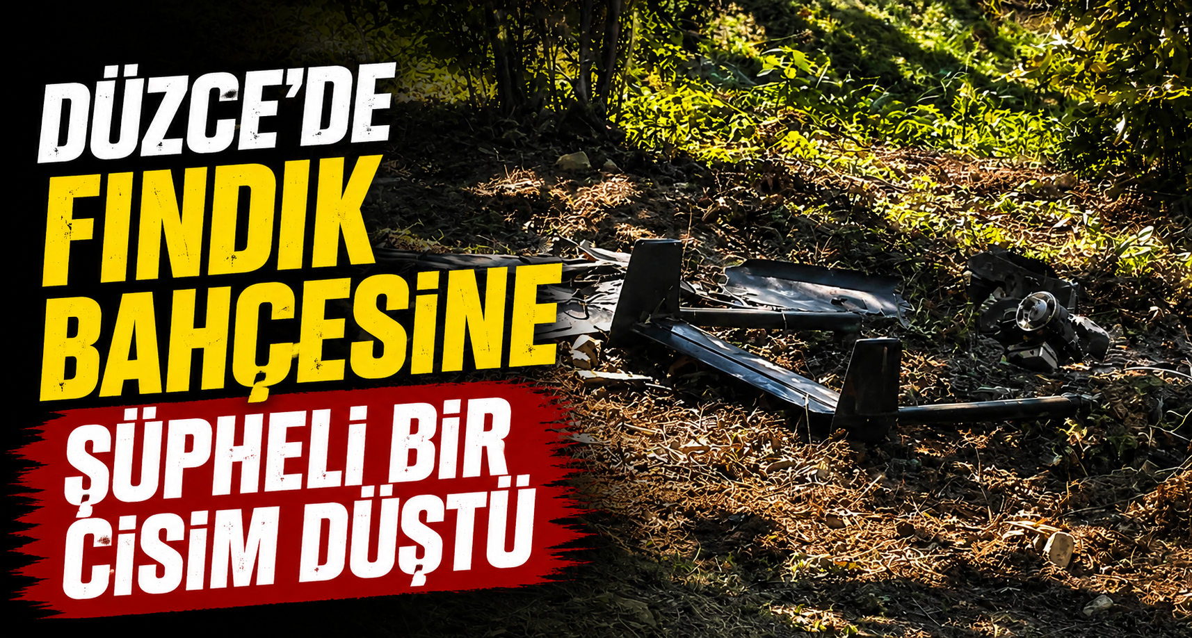 Düzce’de fındık bahçesine şüpheli bir cisim düştü