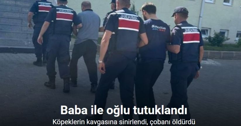 Köpeklerin kavgasına sinirlendi, çobanı öldürdü: Baba ile oğlu tutuklandı