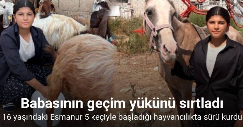Babasına destek çıkmak için keçi besleyip hayvan ticareti yapmaya başladı