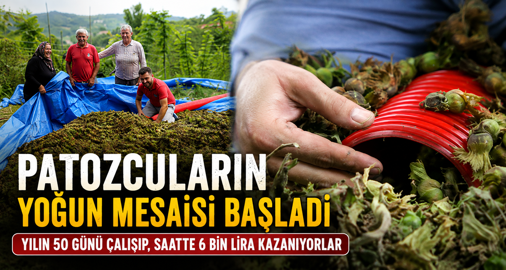 Yılın 50 günü çalışıp, saatte 6 bin lira kazanıyorlar