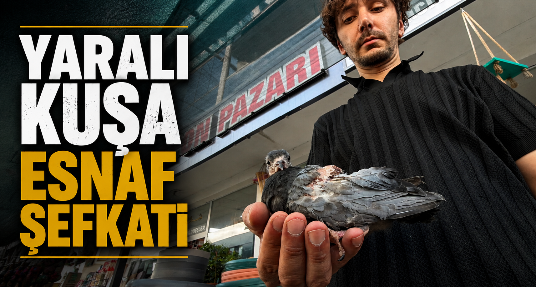 Yaralı kuşa esnaf şefkati