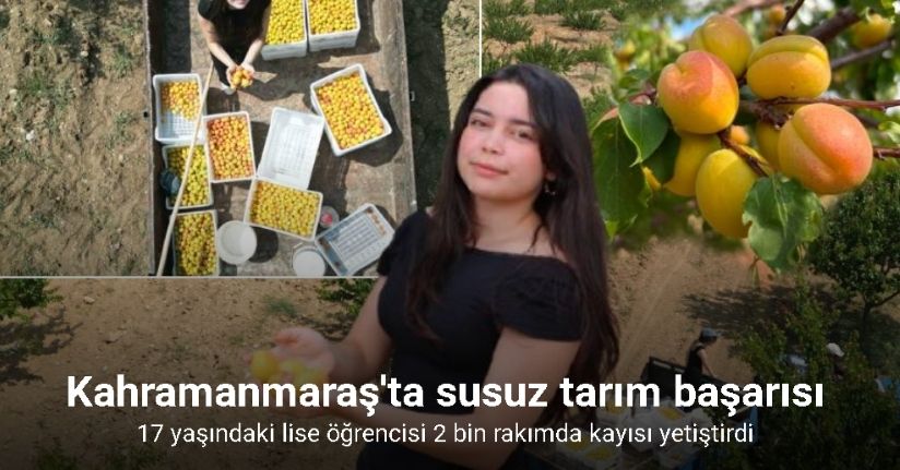 Susuz bölgede 500 kayısı ağacı yetiştirip 4 ton verim aldı, proje Türkiye birinciliği getirdi