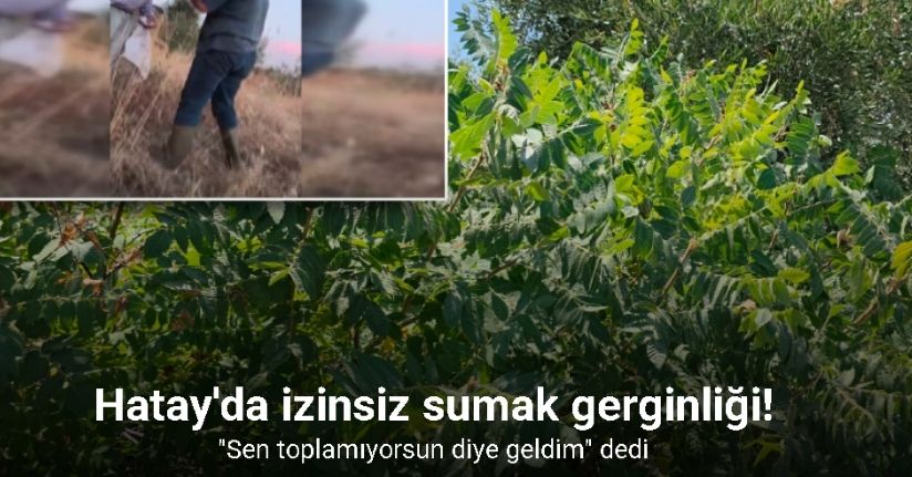 Sumağımı topladın tartışması kavgaya dönüşüyordu