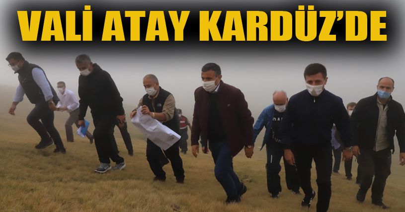 Kış turizmi adaylarından Kardüz Yaylasında inceleme yapıldı