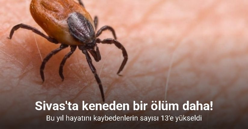 Sivas'ta keneden 13. ölüm