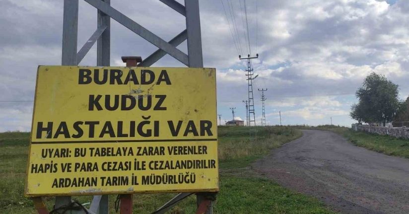 Kuduz nedeniyle mahalleye giriş çıkışlar yasaklandı