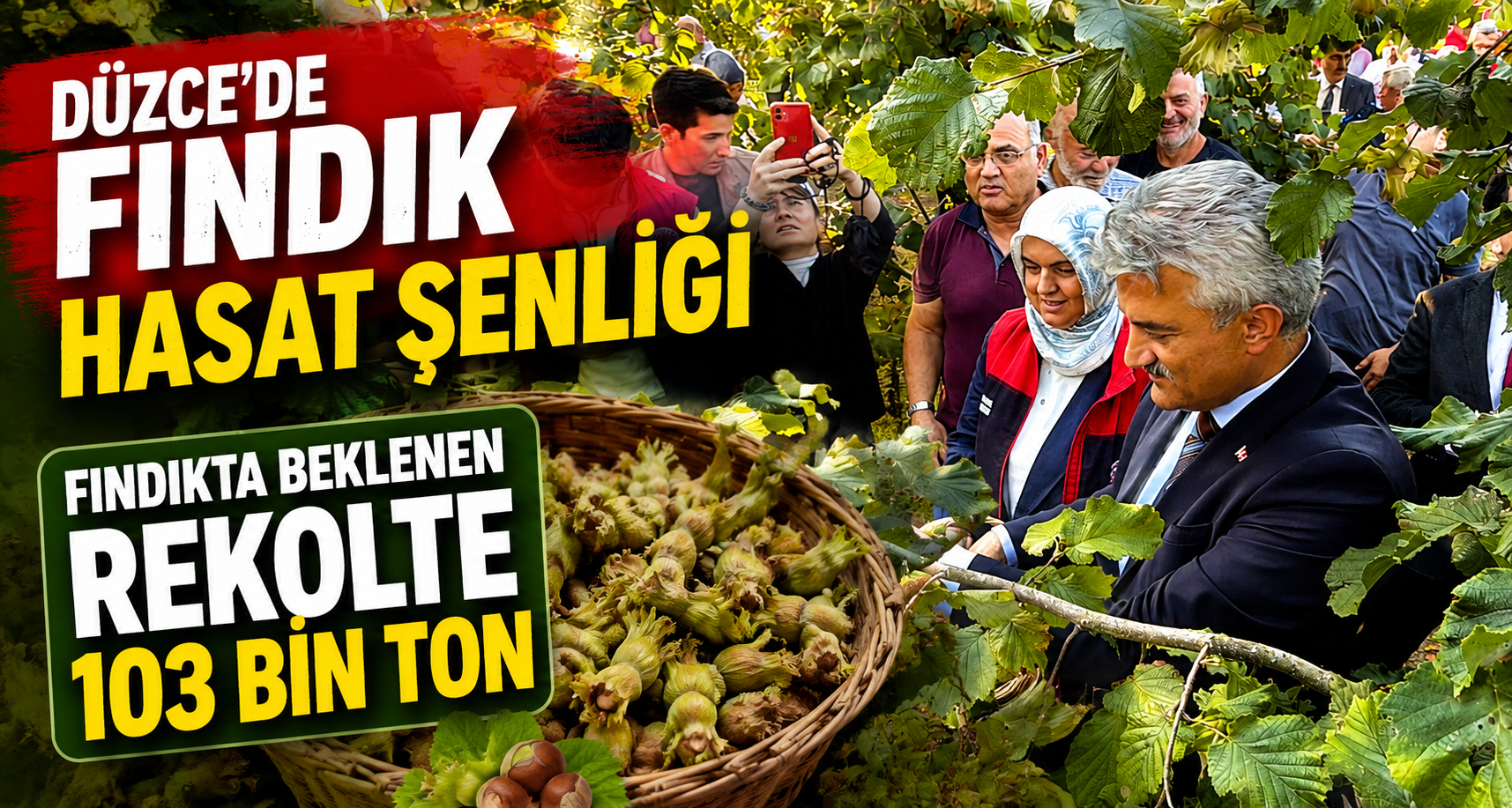 Düzce’de fındık hasat şenliği