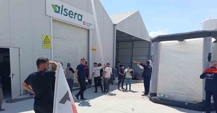 Domates serasında zehirlenme: 10 çalışan hastaneye kaldırıldı