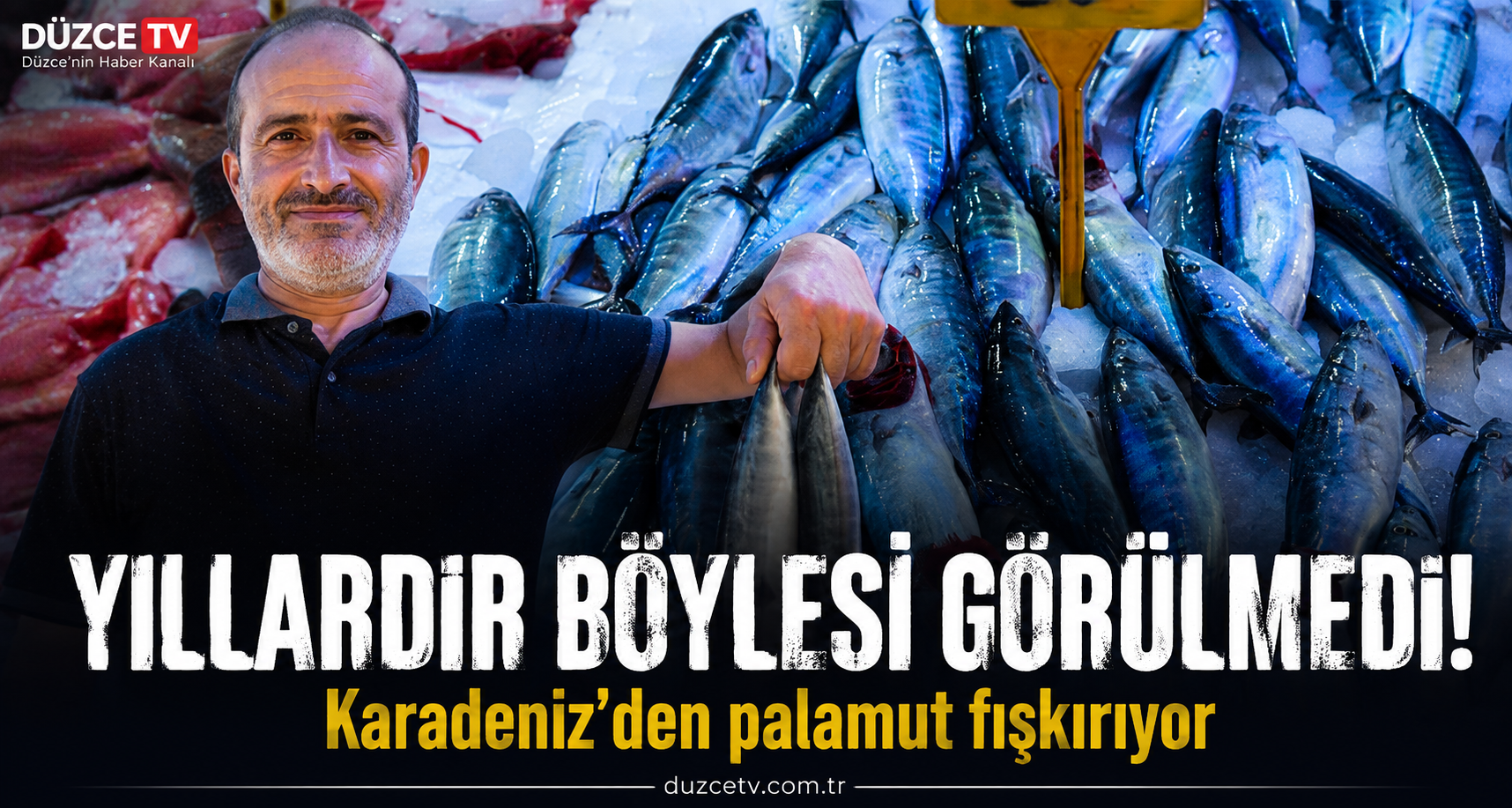 Yıllardır böylesi görülmedi: Karadeniz’den palamut fışkırıyor