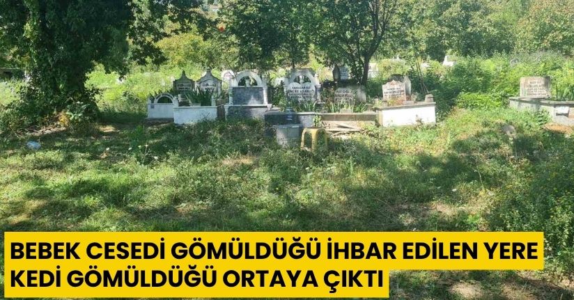 Bebek cesedi gömüldüğü ihbar edilen yere kedi gömüldüğü ortaya çıktı