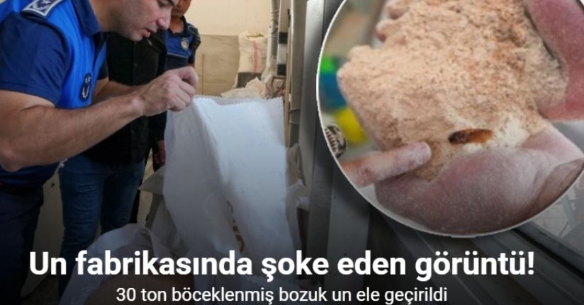 Un fabrikasında şoke eden görüntü: 30 ton böceklenmiş bozuk un ele geçirildi