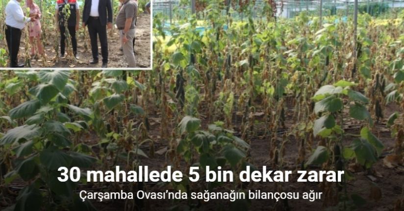 Çarşamba Ovası’nda sağanağın bilançosu ağır: 30 mahallede 5 bin dekar zarar