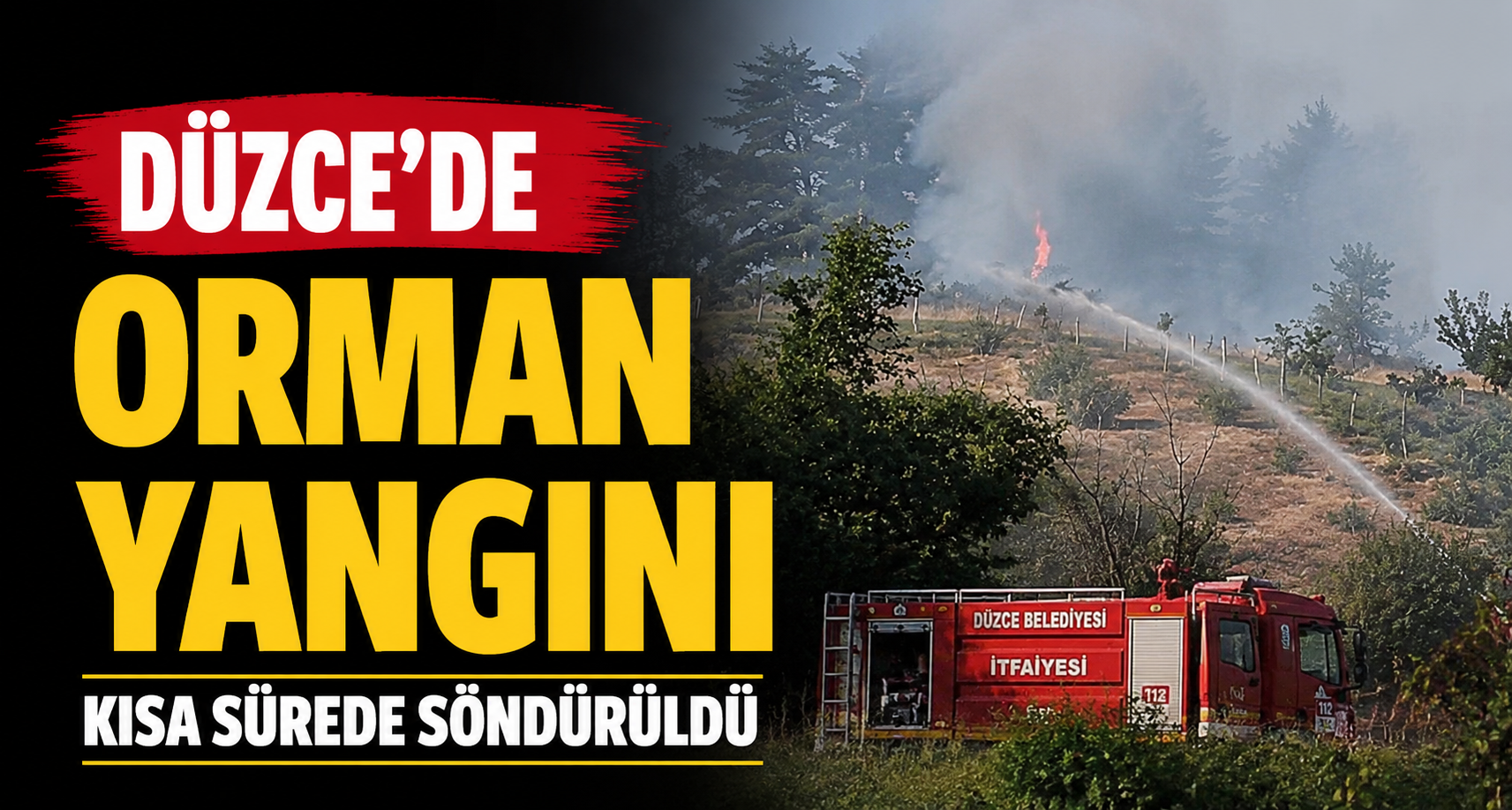 Düzce’de orman yangını kısa sürede söndürüldü