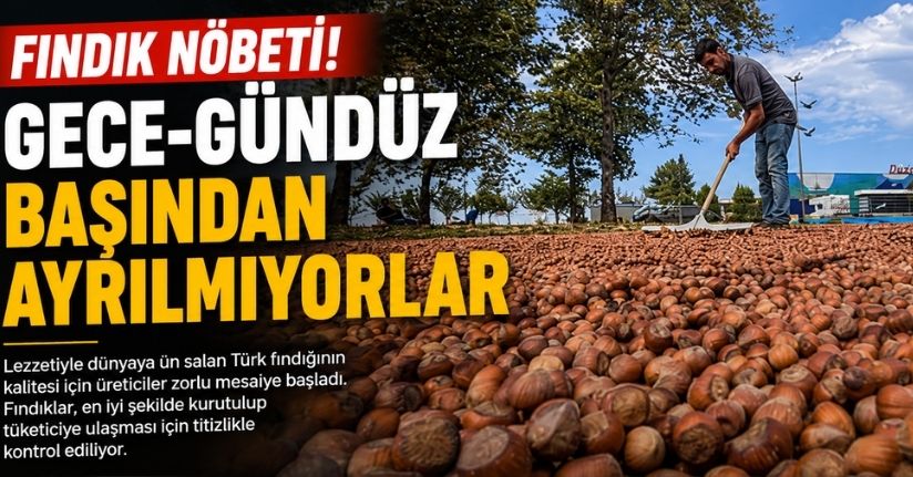 Fındık nöbeti: Gece-gündüz başından ayrılmıyorlar