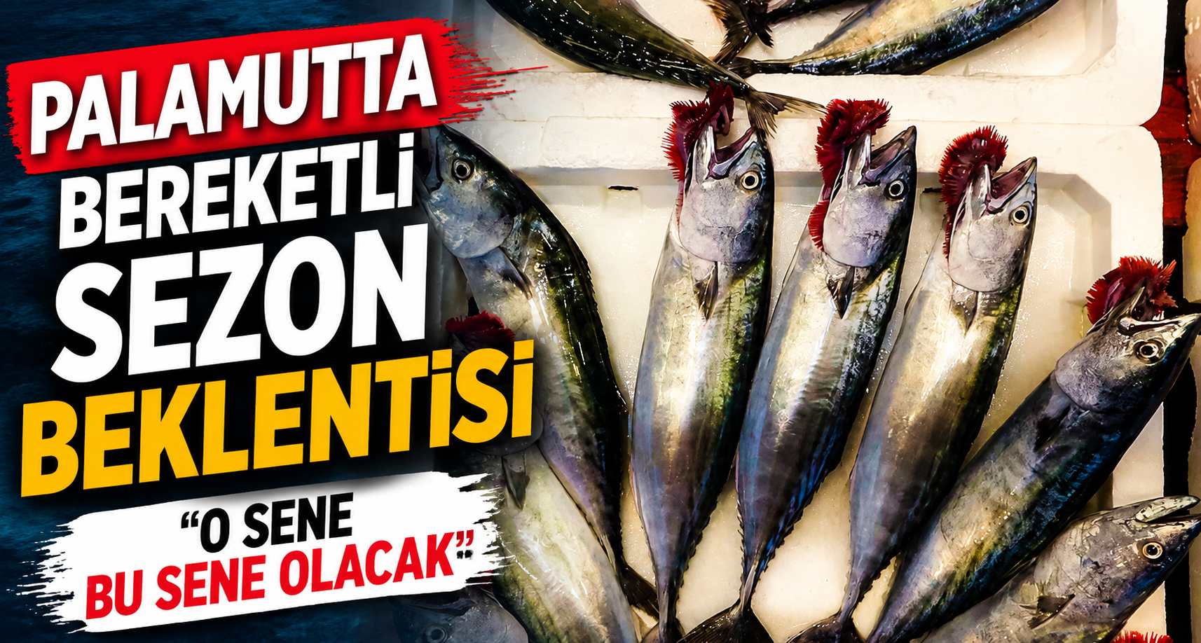 Palamutta bereketli sezon beklentisi: 