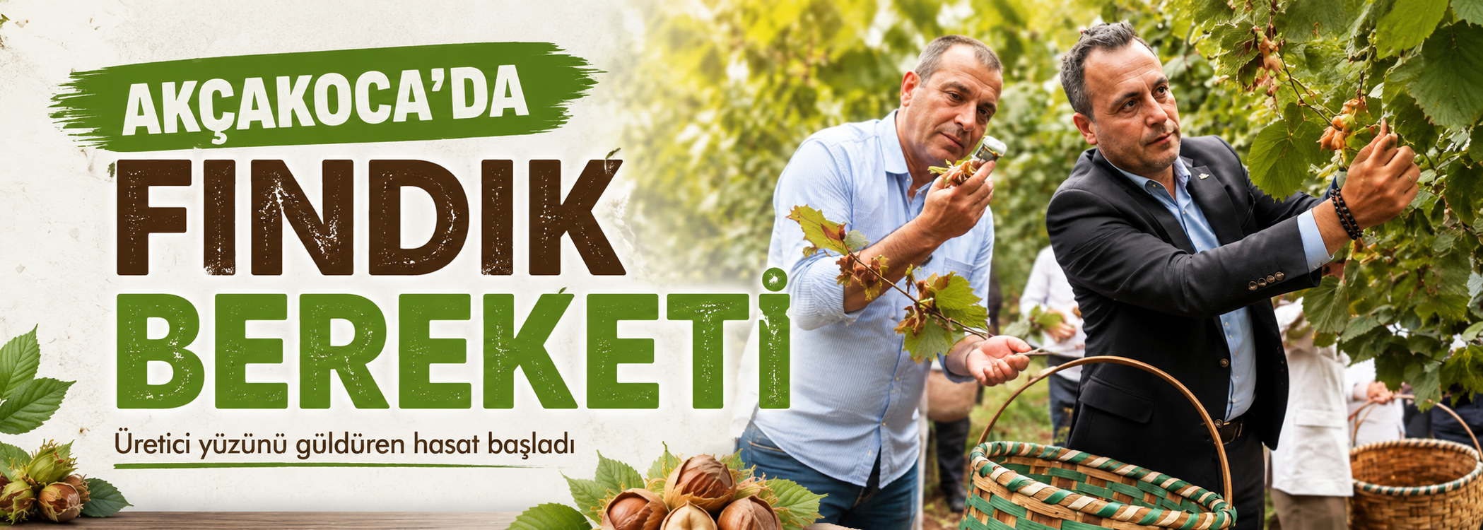 Akçakoca’da fındık bereketi