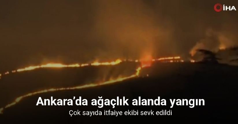 Ankara’da ağaçlık alanda yangın