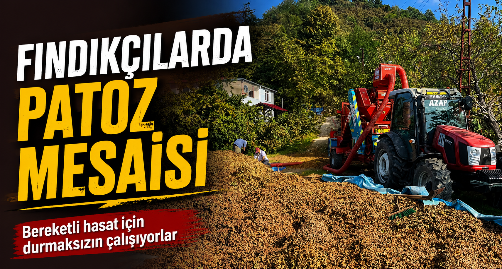 Fındıkçılarda patoz mesaisi