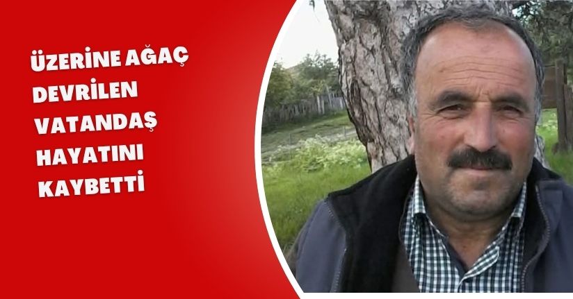 Üzerine ağaç devrilen vatandaş hayatını kaybetti